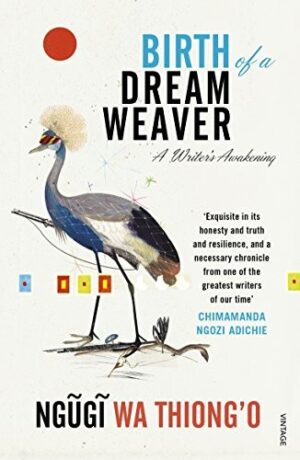 Birth of a Dream Weaver: A Writers Awakening