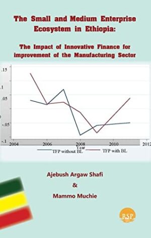 The Small And Medium Enterprise Ecosystem In Ethiopia