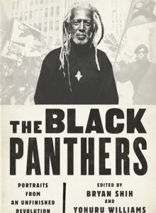 The Black Panthers : Portraits from an Unfinished Revolution