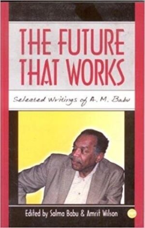 The Future That Works : Selected Writings of A M Babu
