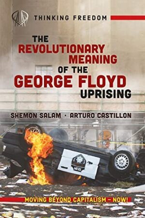 The Revolutionary Meaning of The George Floyd Uprising