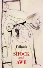 Fallujah: shock and awe