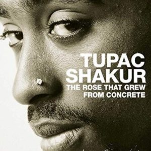 The Rose That Grew From Concrete
