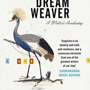 Birth of a Dream Weaver: A Writers Awakening