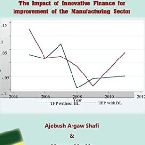 The Small And Medium Enterprise Ecosystem In Ethiopia