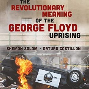 The Revolutionary Meaning of The George Floyd Uprising