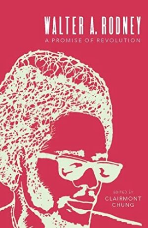 A Promise of Revoluion